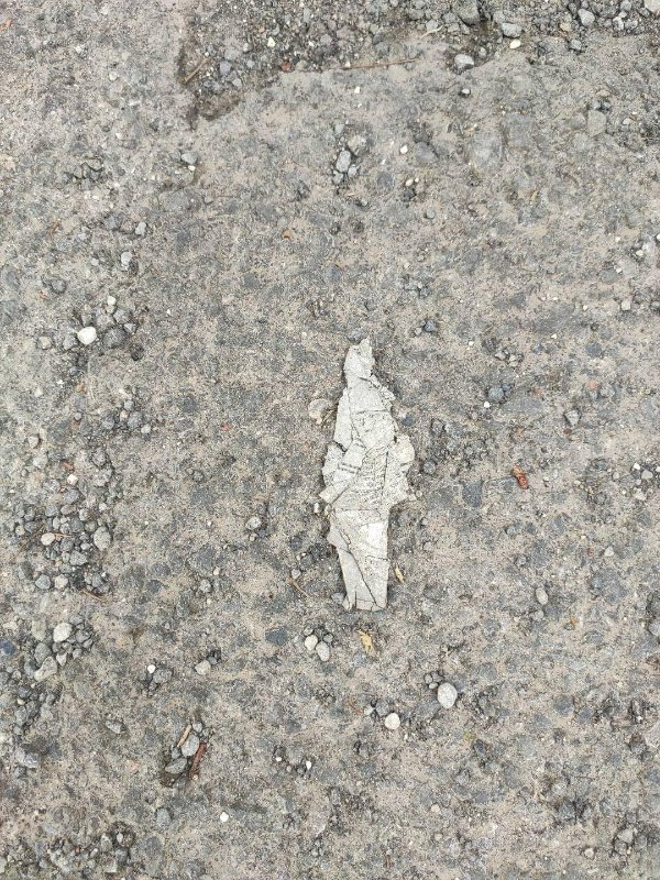 “This piece of foil I found on the street that looks like a samurai warrior.”