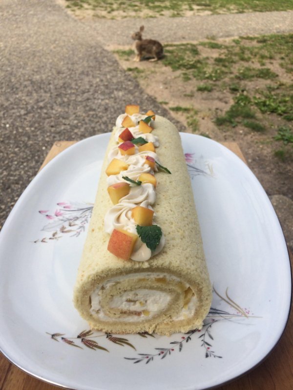 “A rabbit photobombed my picture of the dessert I made.”