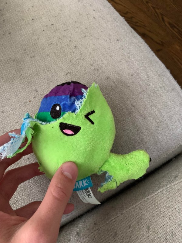 “My dog’s toy has another toy inside it for when she tears apart the first one!”