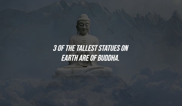 20 Fascinating Facts To Fill Your Head With.