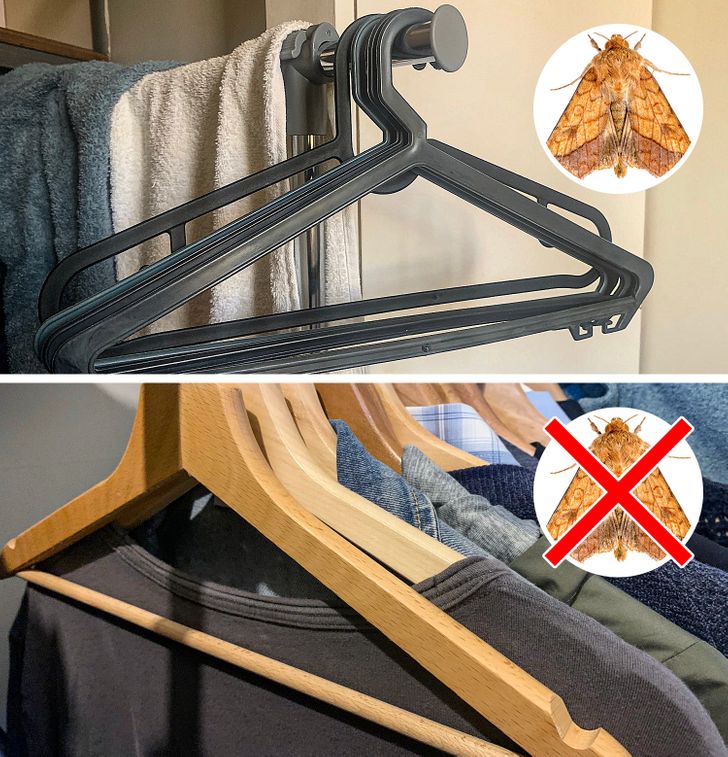 Cedarwood hangers help repel moths and other insects.