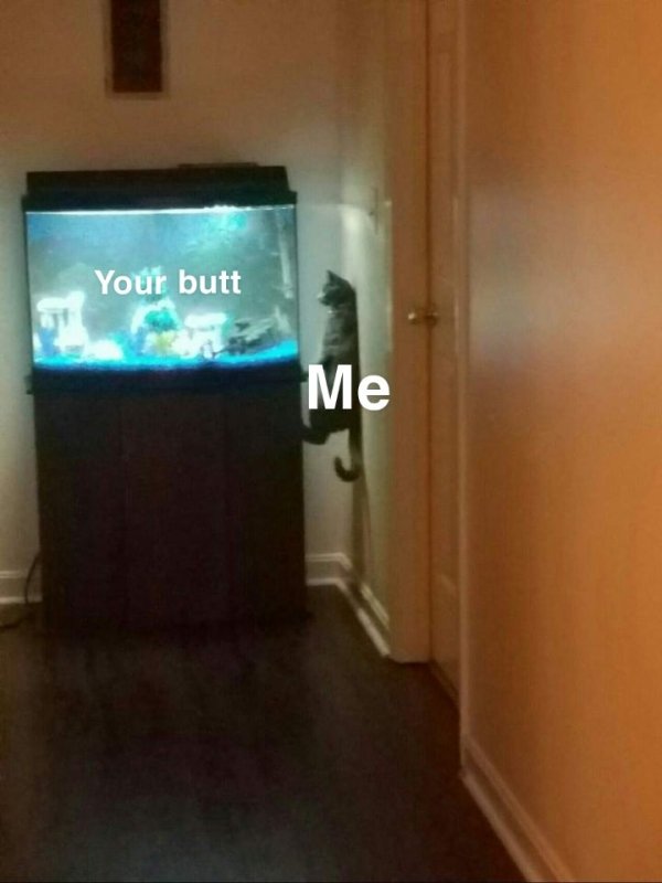 Your butt Me