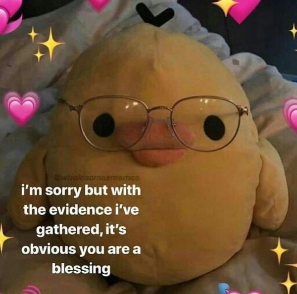wholesome memes - . wholesomexmemas i'm sorry but with the evidence i've gathered, it's obvious you are a blessing