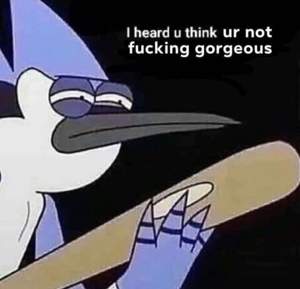 youre gorgeous meme - I heard u think ur not fucking gorgeous