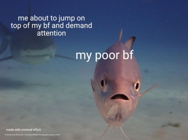 fish - me about to jump on top of my bf and demand attention my poor bf made with minimal effort Can Camer