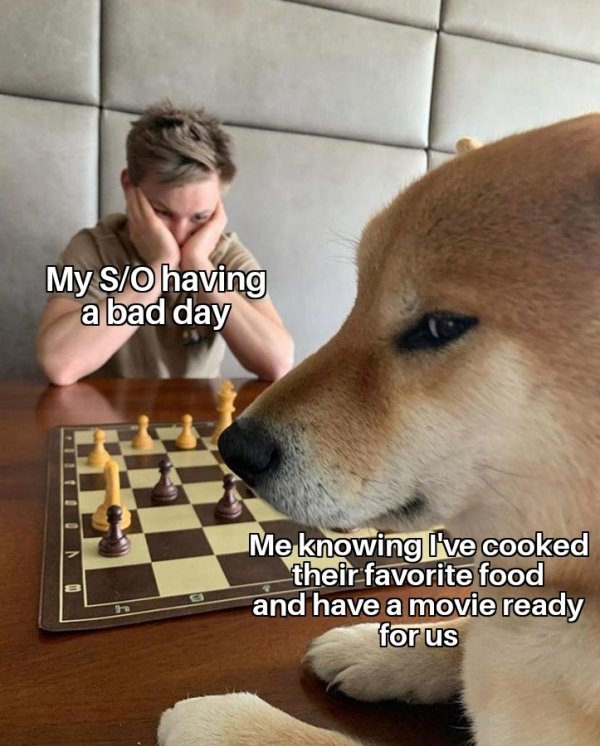 dog playing chess meme - My SO having a bad day Me knowing I've cooked their favorite food and have a movie ready for us h