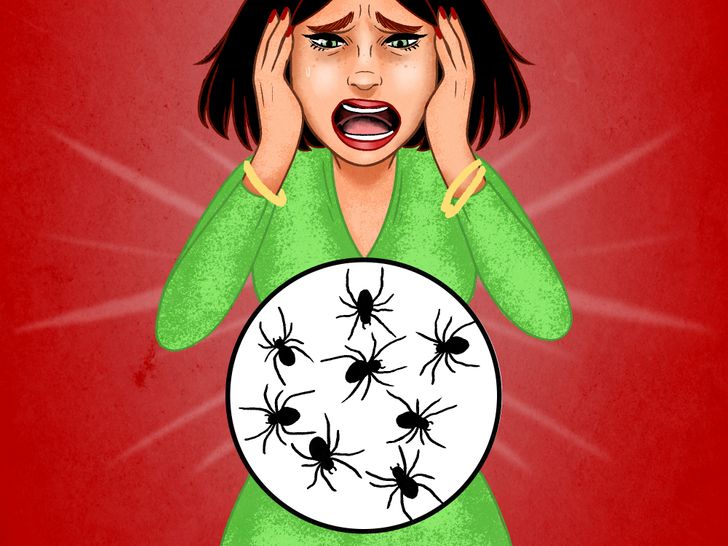 All humans swallow 8 spiders in their sleep every year. The truth: Spiders couldn’t care less about humans and they have no interest in climbing us and reaching our mouths when we sleep. And that’s because our heavy breathing and snoring are way too heavy for them to approach. We are also way too big for them — they actually see us as a part of their landscape and nothing more. Additionally, it would be very difficult for people to not wake up if a spider roamed around on their face and entered their mouth.