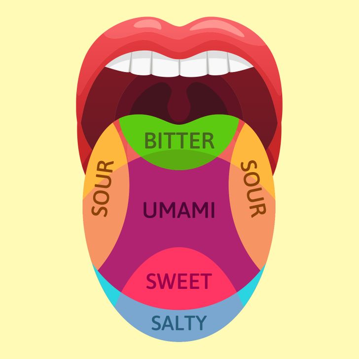 Our tongues have 6 taste zones. The truth: All regions of our tongues can detect all the different flavors and tastes that exist in foods. The myth of the taste zones goes back to 1901, but recently scientists have debunked it. Our tongues have 5,000-10,000 taste buds scattered all over their regions and they send our brains signals when they taste something. So, it’s more about brain perception based on our experiences and memories rather than the taste zones of our tongues.