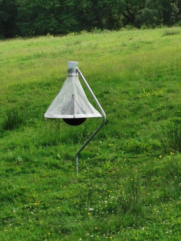 Heavy black balloon (?) hanging under white net in a field

A: Home made horse fly trap. Be Interested to see how well it worked.