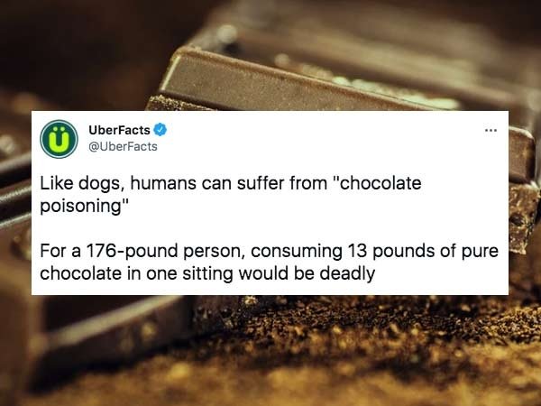 32 Insane Facts To Fill Your Head With.