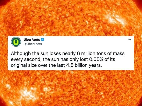 32 Insane Facts To Fill Your Head With.