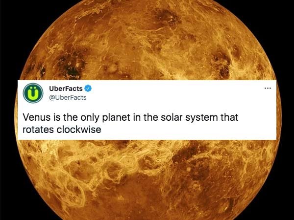 32 Insane Facts To Fill Your Head With.