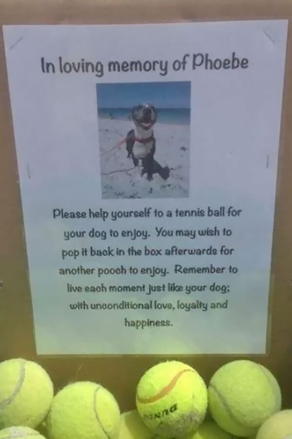 “I Found This At My Local Dog Beach Today”