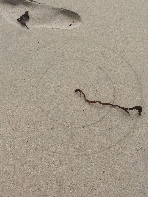 “Piece Of Dried Seaweed With One End Stuck In Sand Drew Concentric Circles As It Was Rotated By The Wind”