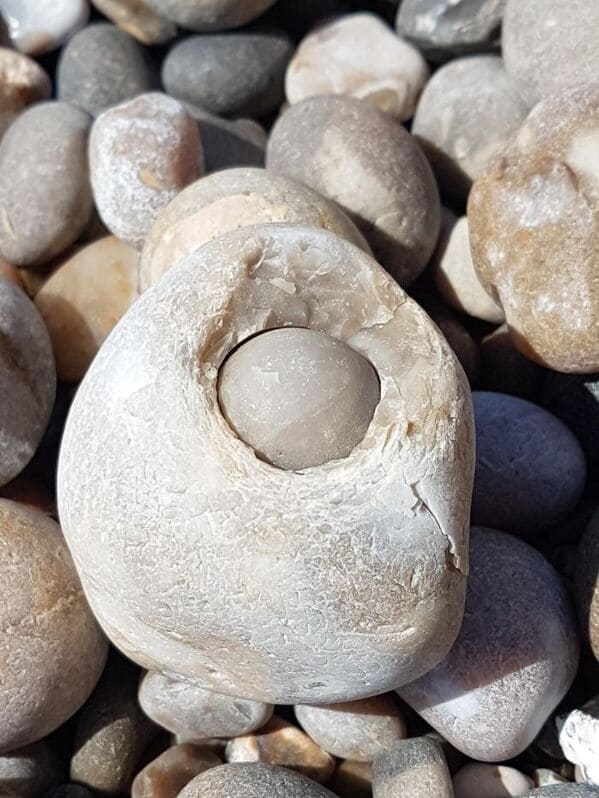“Found This Rock Within A Rock On A Beach Walk”