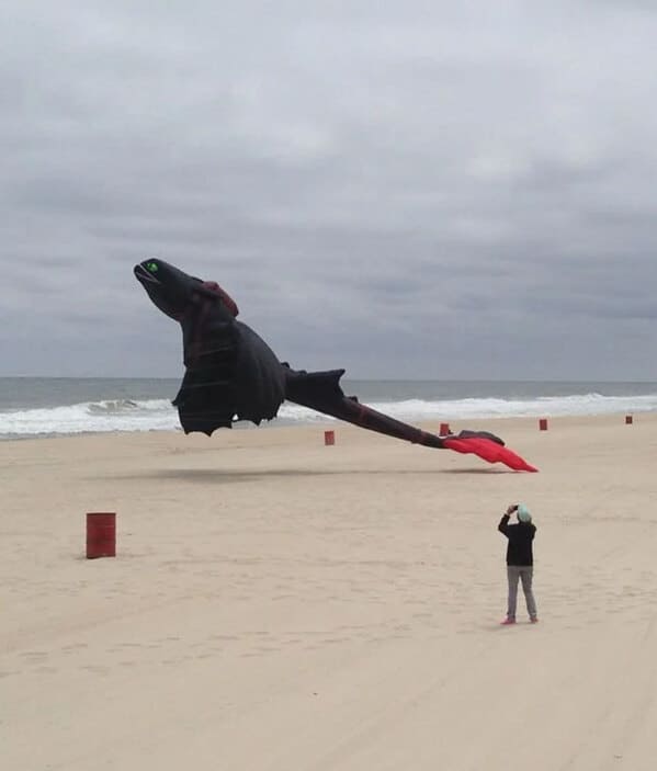 “Saw This Awesome Toothless Kite On The Beach”