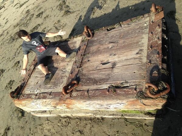 “Found Washed Up On Dillon Beach, California USA. Human For Scale, I’m 5’10”