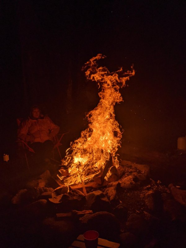“The pic I took of this fire looks like a deer.”