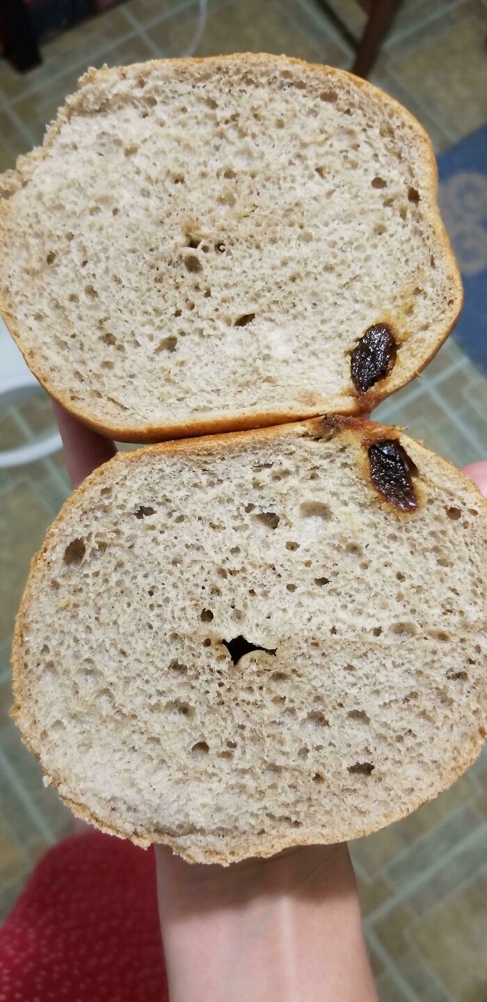 Cinnamon And Singular Raisin Bagel