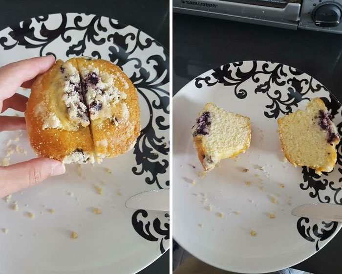 A Nice Blueberry Muffin... Oh Wait
