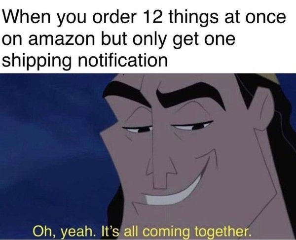 funny meme - when you have one shipping notification