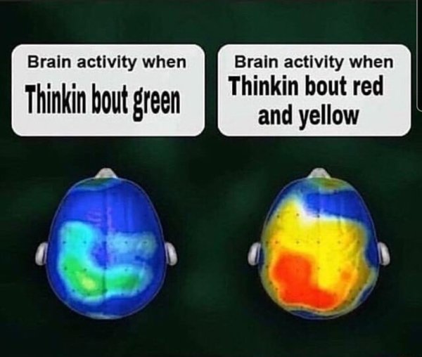funny meme - brain colors