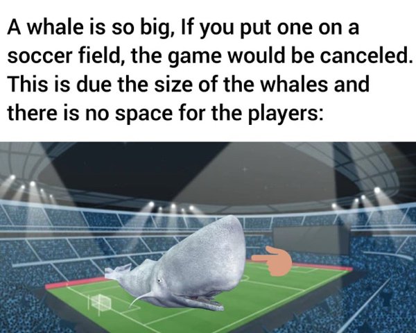 funny meme - whale in a field