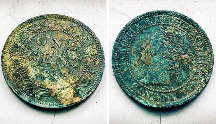 “The joys of owning a 140-year-old house. Found a one-cent coin from 1888 in the backyard.”
