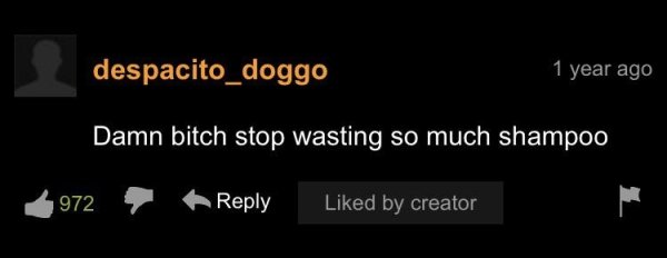 34 Pornhub Comments That Are Something Else.