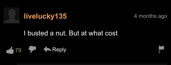 34 Pornhub Comments That Are Something Else Gallery Ebaums World