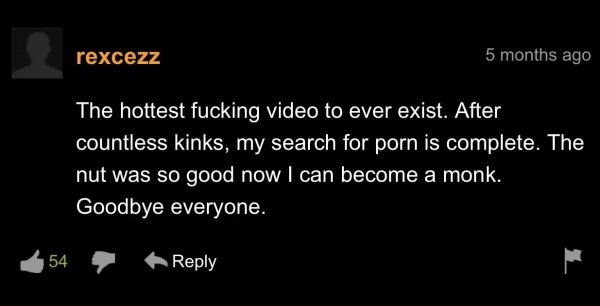 34 Pornhub Comments That Are Something Else.