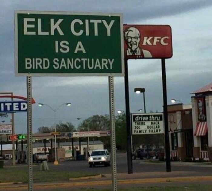 elk city is a bird sanctuary with KFC