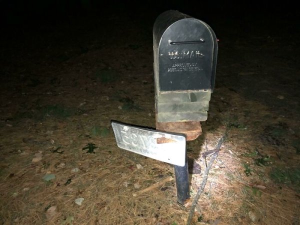 license plate caught on mailbox