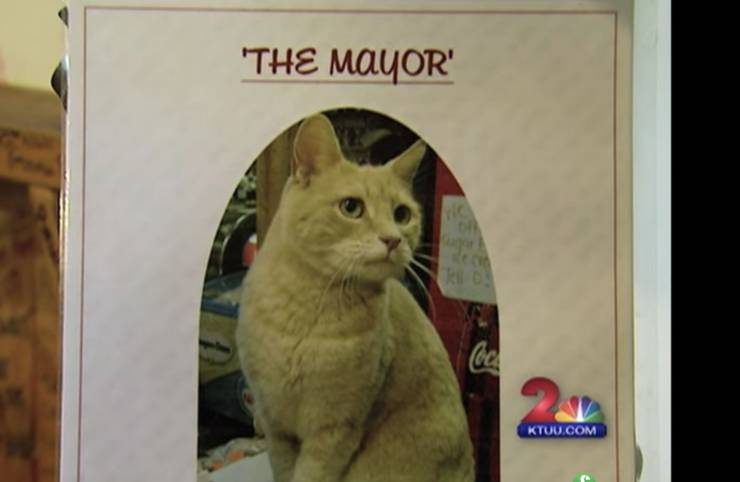 For 20 years, a cat served as mayor of Talkeetna, Alaska.