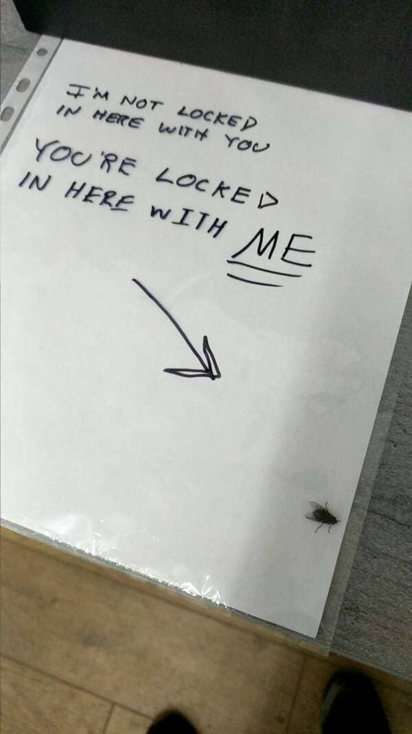 I tried to swat a fly using some paper in a plastic envelope. One lucky swing and I somehow caught the fly – alive – INSIDE the envelope.