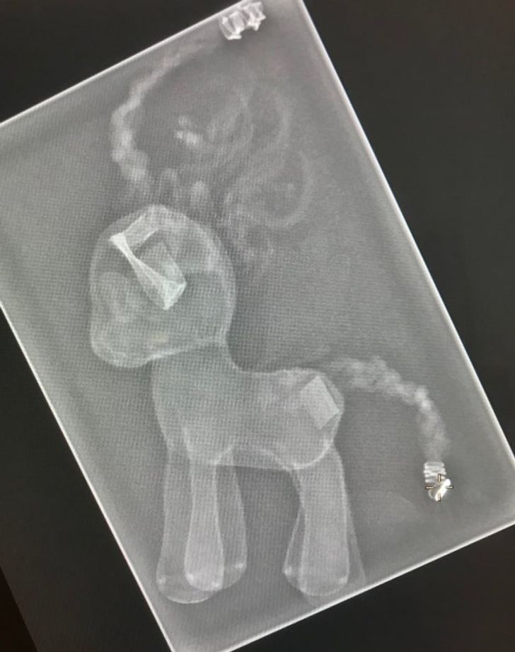 “So my patient wouldn’t let me X-ray her unless I PROMISED to X-ray her pony after...”