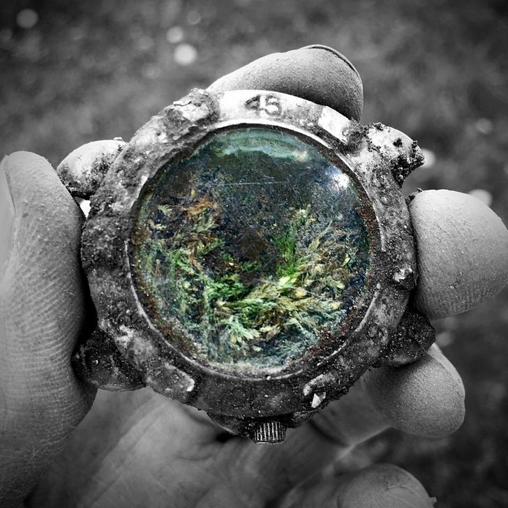 “A watch that I found — nature had turned it into a mini terrarium.”