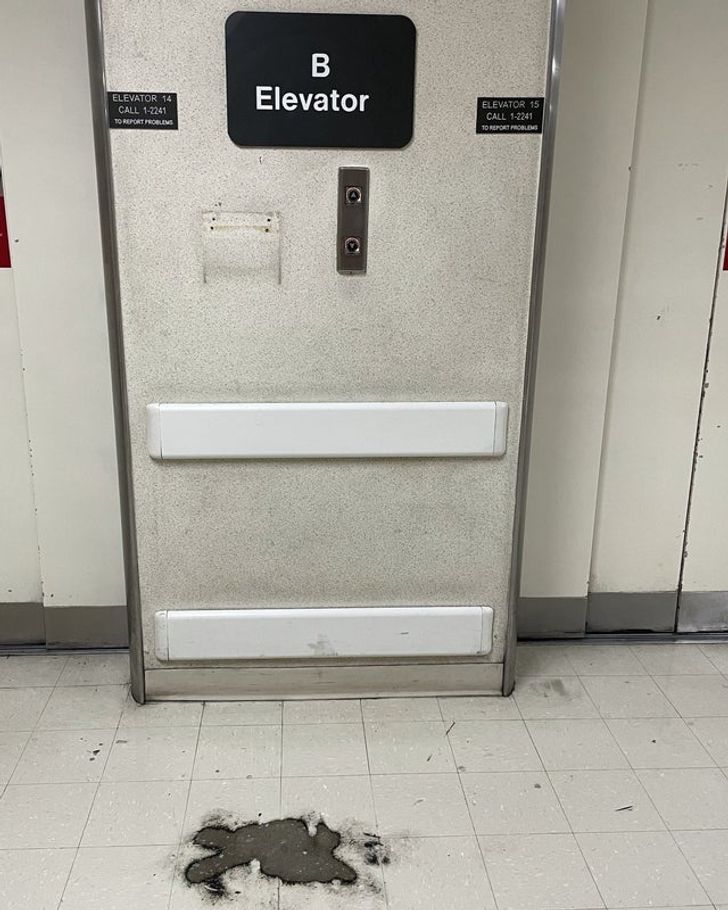 “This standing spot in front of the elevator buttons at work”