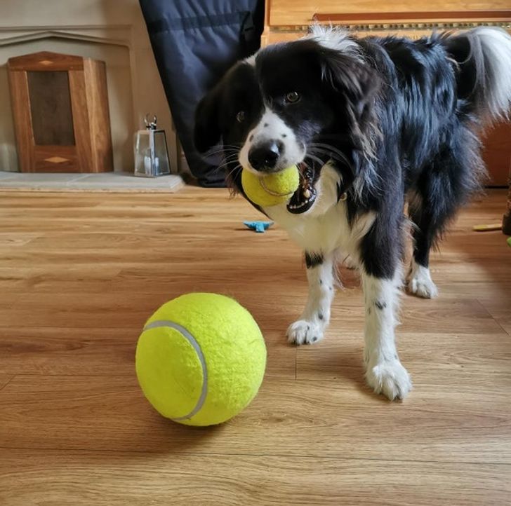 Is the ball closer or bigger?