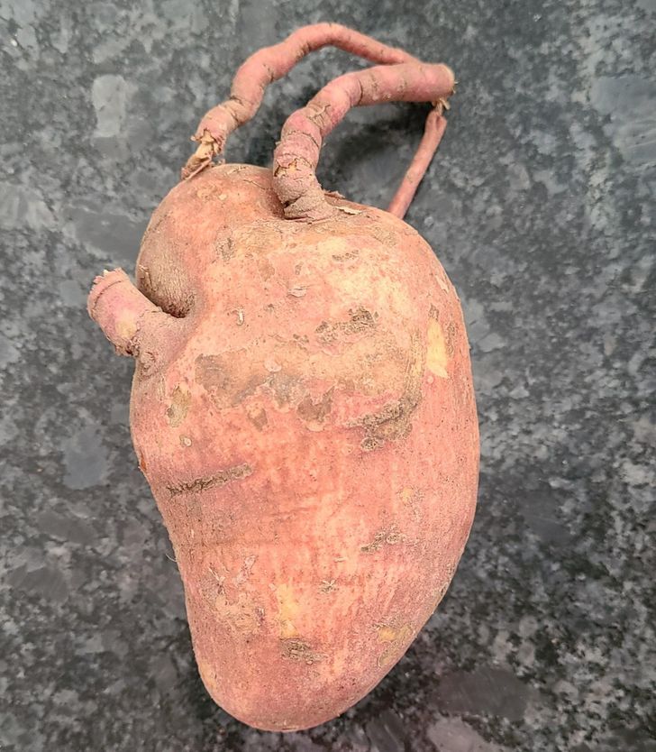 This sweet potato that looks like a human heart