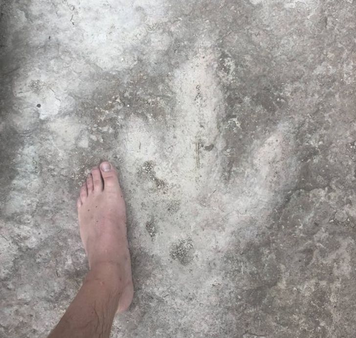 “I came across these Theropod tracks while fly fishing in Texas.”