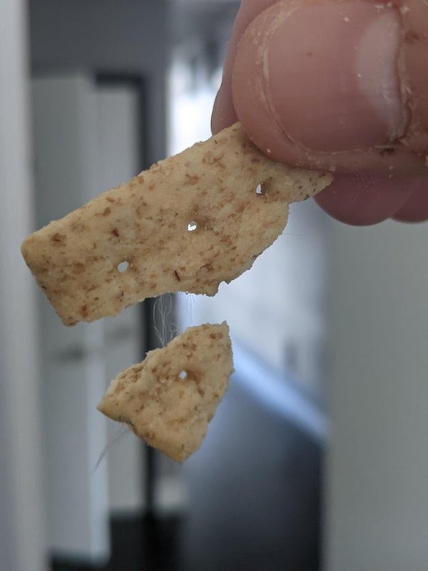 What are these strands/threads coming out of my crackers?

A: I work in food manufacturing. This is 100% frayed edges of the conveyors that take the crackers through the sheeting process before being transferred to the oven band.