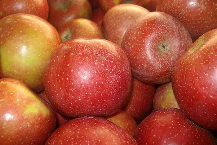 Red Delicious apples. You deserve better than that mushy garbage. Get yourself a honeycrisp.