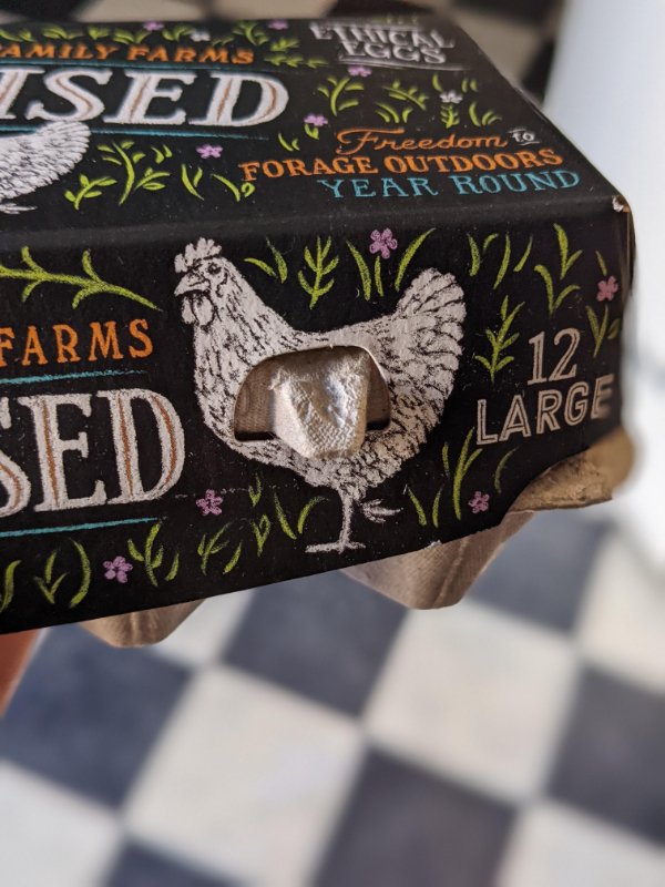 “The securing notch on my egg carton lid looks like the chickens wing.”