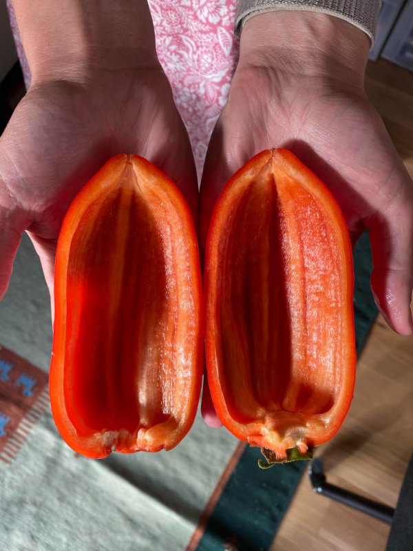 “Cut in half to find a completely uniform and barren bell pepper.”