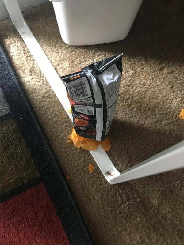 My chips fell off my desk in the worst way possible.
