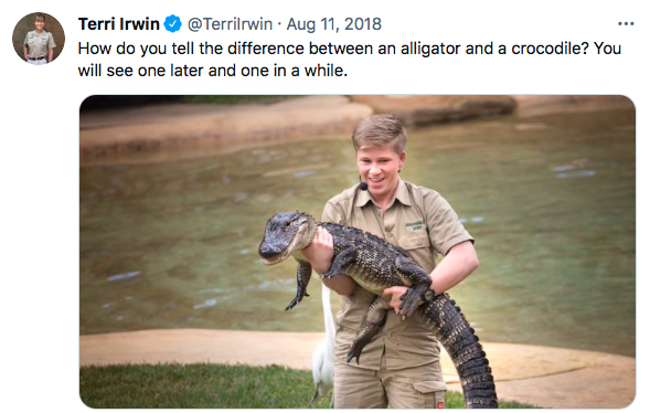 dad jokes, puns - funny cringey jokes - Terri Irwin How do you tell the difference between an alligator and a crocodile? You will see one later and one in a while.
