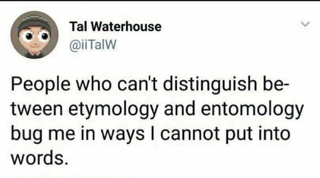 dad jokes, puns - smile - Tal Waterhouse People who can't distinguish be tween etymology and entomology bug me in ways I cannot put into words.