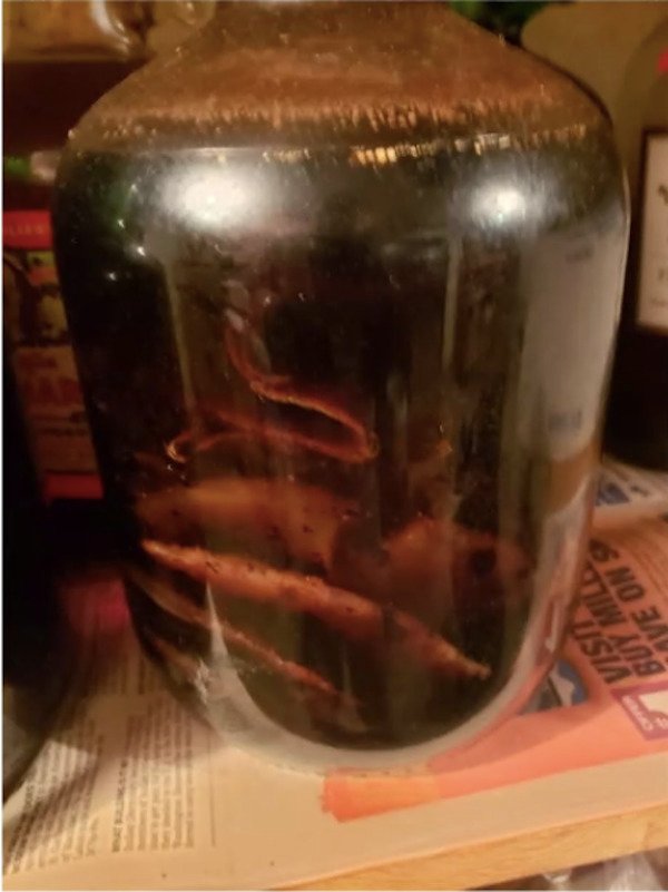 Can someone identify what is inside this 5 gallon jug of wine that is at least 25 years old? Found in a deceased grandparent’s basement.

A: It’s a SCOBY (think kombucha) sometimes it happens, sometimes it’s bad, sometimes it’s fine. You more than likely have vinegar now.