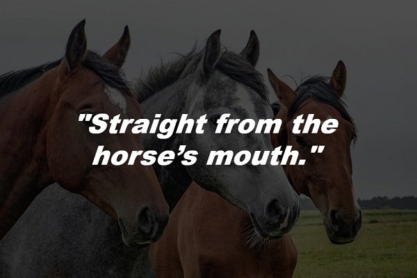 This phrase originated in the 1900s. People who would buy horses would determine a horse’s age by looking at its teeth.
